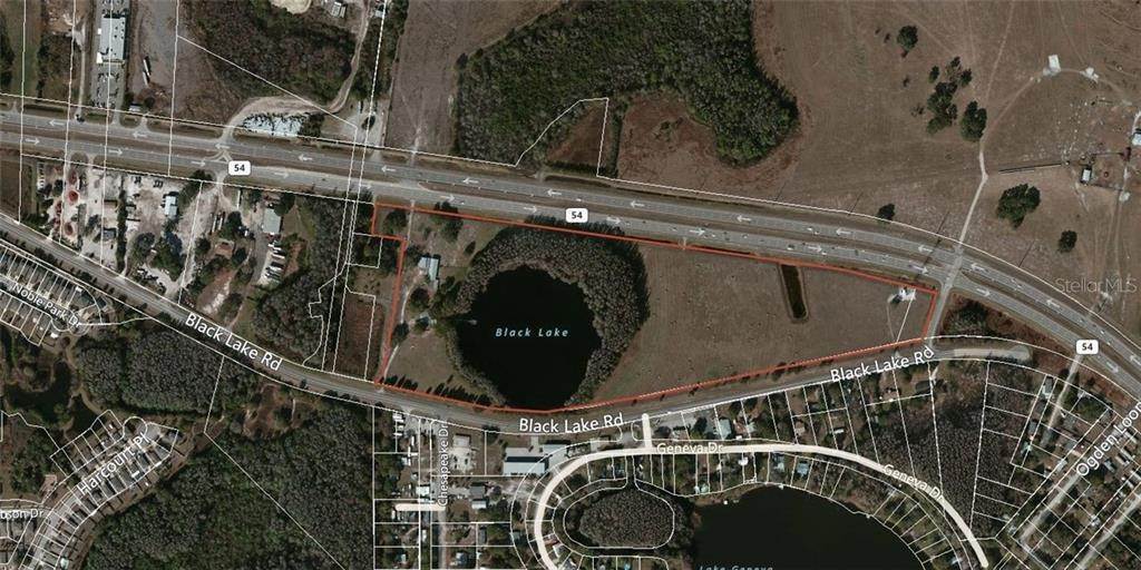 Land for Sale at 14325 BLACK LAKE ROAD Odessa, Florida 33556 United States