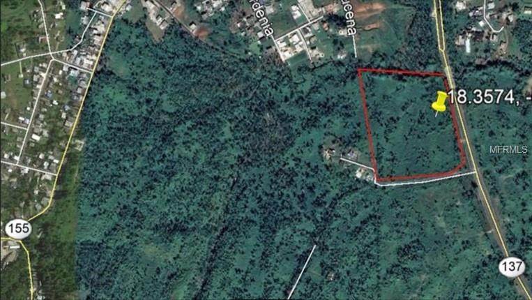 Land for Sale at PR137 Morovis, 00687 Puerto Rico