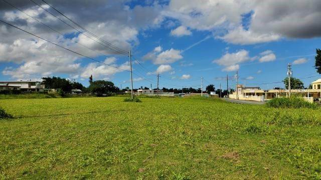 Land for Sale at PR-174 SAN AGUSTIN Bayamon, 00959 Puerto Rico