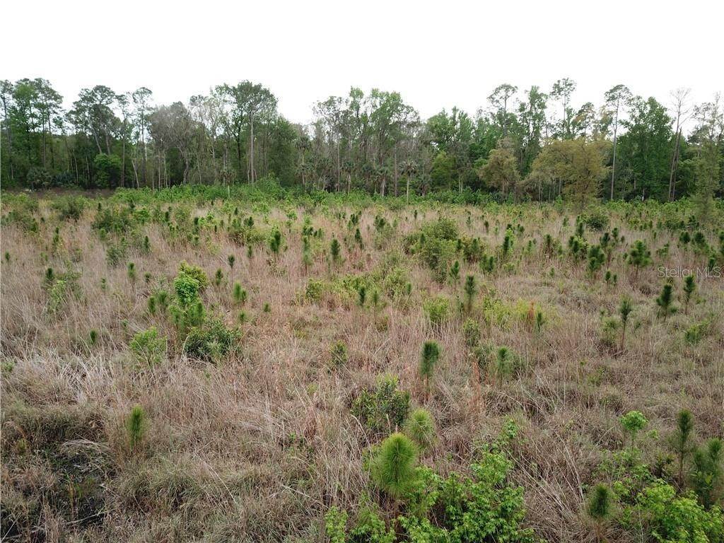 Land for Sale at COUNTY ROAD 42 Altoona, Florida 32702 United States