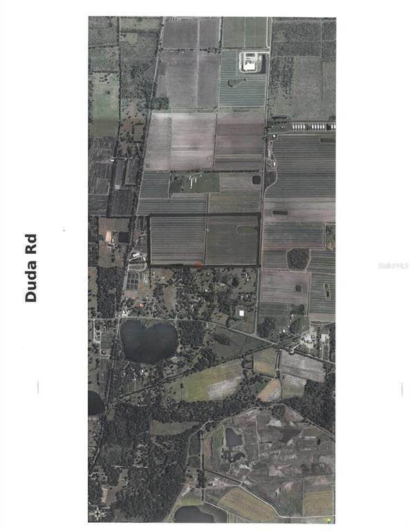 Land for Sale at RED FARM ROAD Mount Dora, Florida 32757 United States
