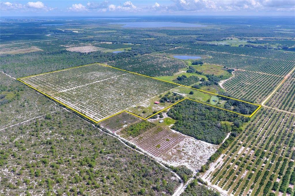 Land for Sale at 3931 BELL ROAD Avon Park, Florida 33825 United States