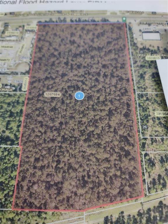 Land for Sale at STATE ROAD 40 Astor, Florida 32102 United States