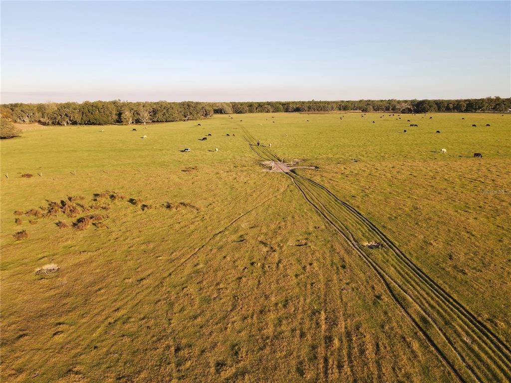 Land for Sale at 7905 BERRY ROAD 7905 BERRY ROAD Zephyrhills, Florida 33540 United States