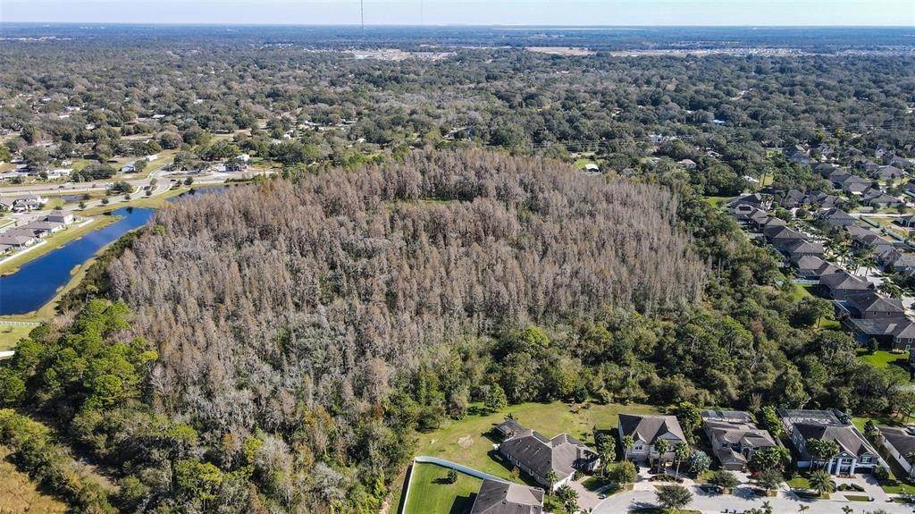 8. Land for Sale at BALM RIVERVIEW Riverview, Florida 33579 United States