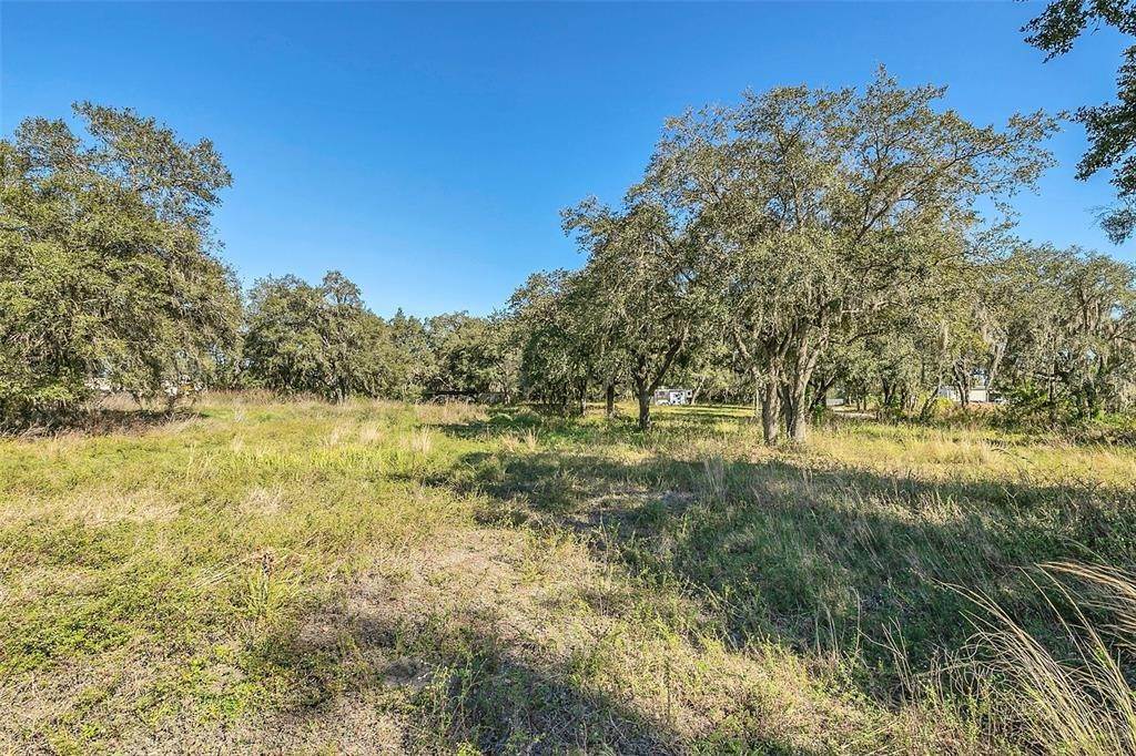 10. Land for Sale at 1294 GREENSKEEP DRIVE Kissimmee, Florida 34741 United States