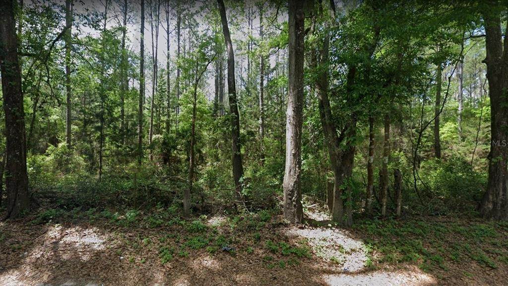 Land for Sale at TBD W NEWBERRY ROAD Newberry, Florida 32669 United States