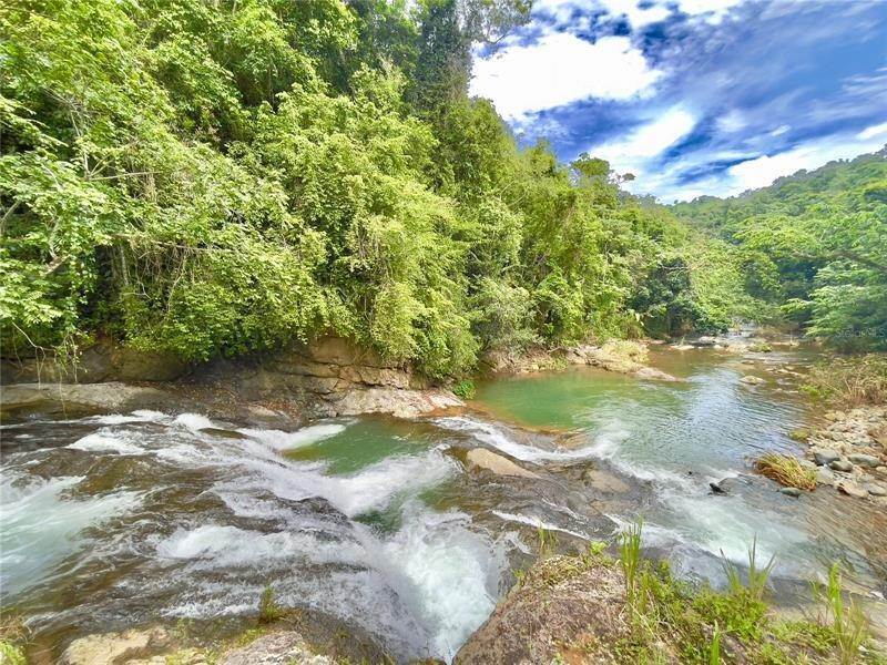 Land for Sale at PR 608 Ciales, 00638 Puerto Rico