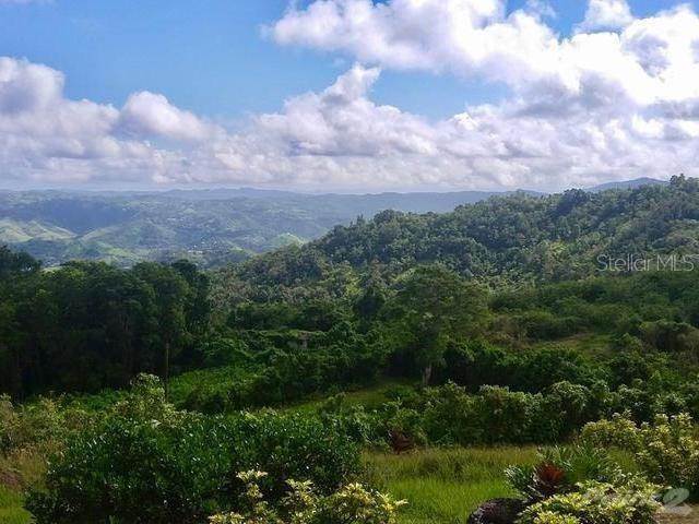 18. Land for Sale at PR-7722 KM 4.2 Cayey, 00736 Puerto Rico