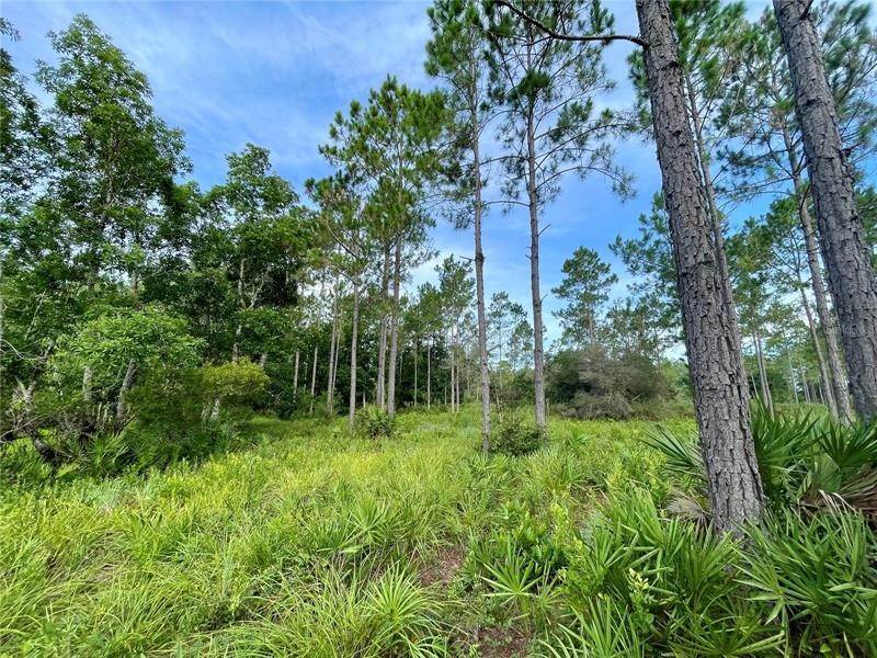 12. Land for Sale at TBD NE 150TH AVE ROAD Fort Mc Coy, Florida 32134 United States