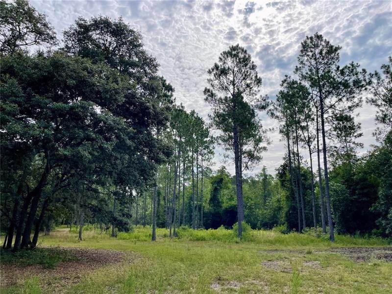 10. Land for Sale at TBD NE 150TH AVE ROAD Fort Mc Coy, Florida 32134 United States