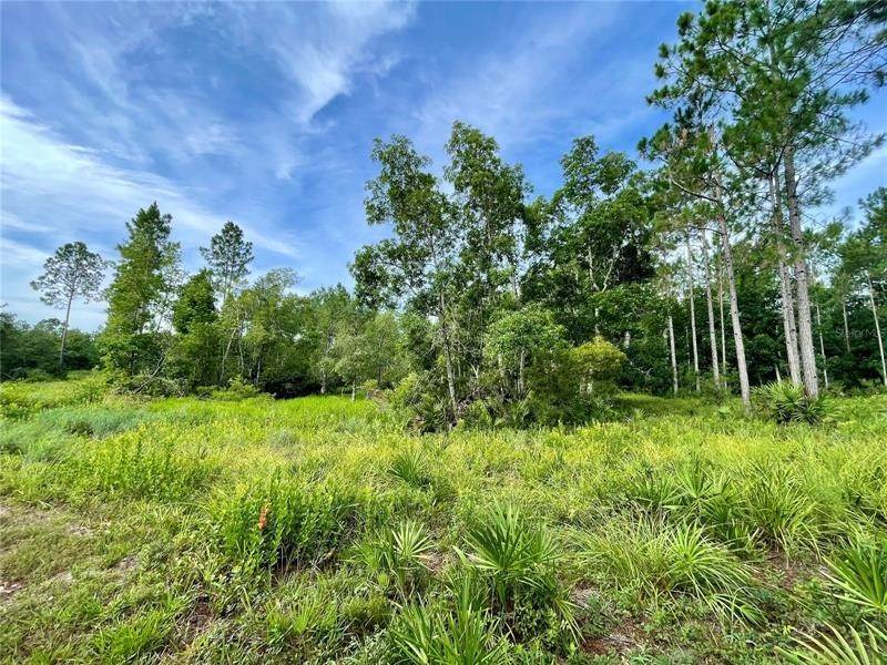 11. Land for Sale at TBD NE 150TH AVE ROAD Fort Mc Coy, Florida 32134 United States