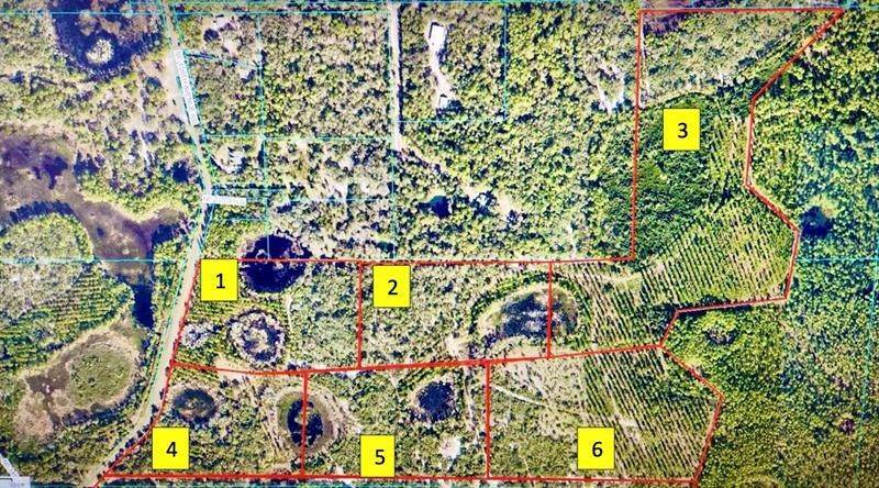 Land for Sale at TBD NE 150TH AVE RD - CYPRESS POND LOT Fort Mc Coy, Florida 32134 United States