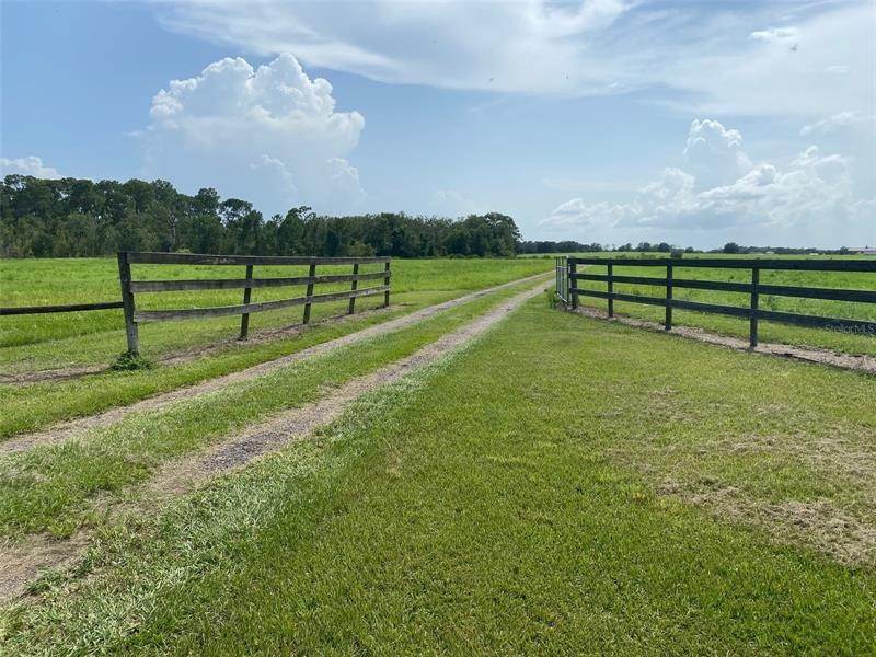Land for Sale at 9622 PINE ISLAND ROAD Clermont, Florida 34711 United States