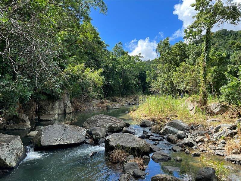Land for Sale at KM 2.4 PR 186 Canovanas, 00729 Puerto Rico