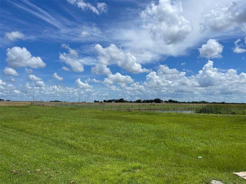 Land for Sale at HWY 17 NORTH HIGHWAY Wauchula, Florida 33873 United States