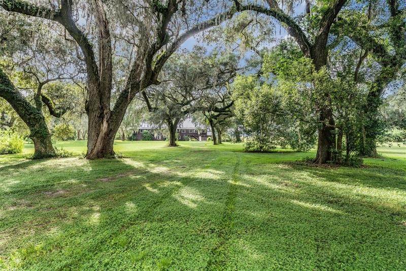 5. Single Family Homes for Sale at 37440 PHELPS ROAD Zephyrhills, Florida 33541 United States