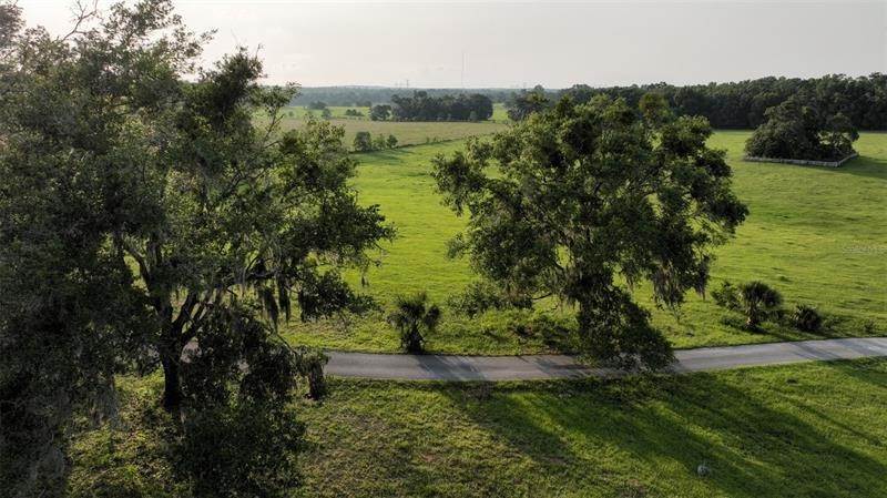 6. Land for Sale at 2448 S LECANTO HIGHWAY Lecanto, Florida 34461 United States