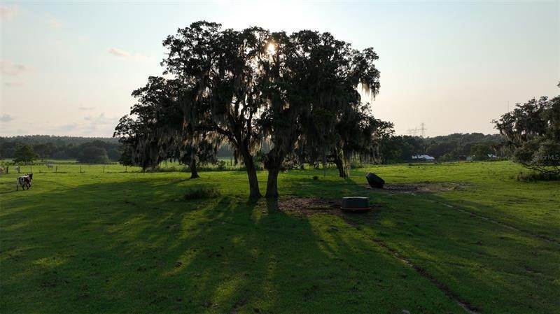 17. Land for Sale at 2448 S LECANTO HIGHWAY Lecanto, Florida 34461 United States