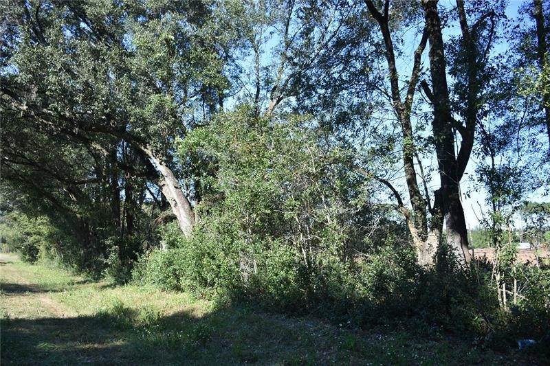 Land for Sale at SW CR 241 Archer, Florida 32618 United States