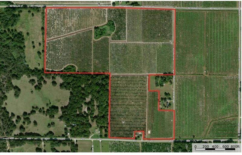 Land for Sale at SE Co Road 760a Arcadia, Florida 34266 United States