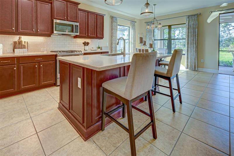 9. Single Family Homes for Sale at 256 ARIANO AVENUE Nokomis, Florida 34275 United States