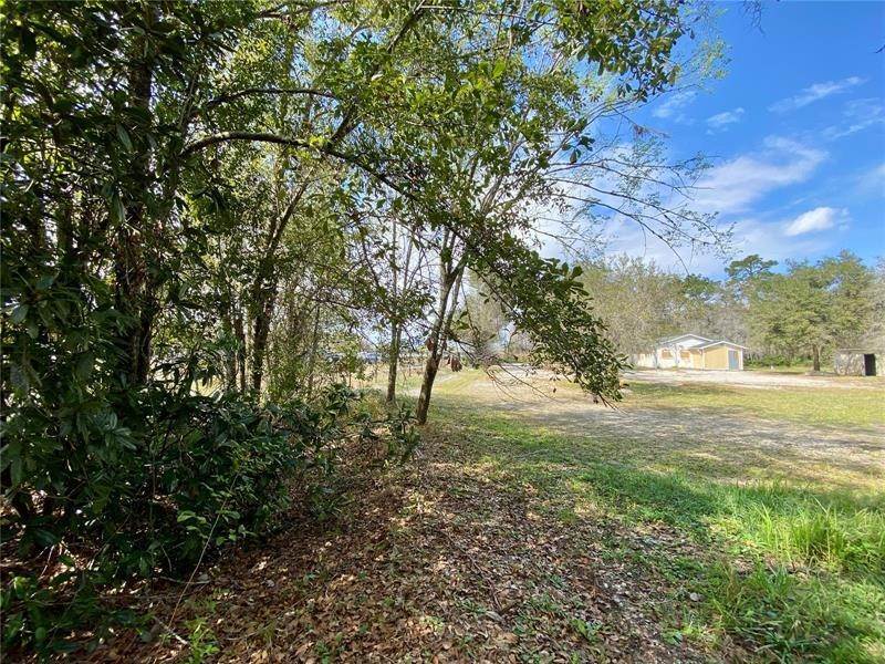 14. Commercial for Sale at 20319 STATE ROAD 54 Lutz, Florida 33558 United States