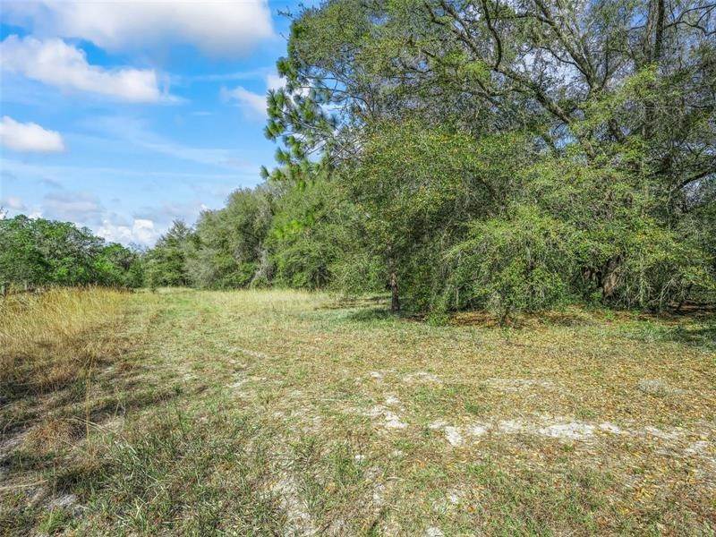 7. Land for Sale at 2970 COUNTY ROAD 44A Wildwood, Florida 34785 United States