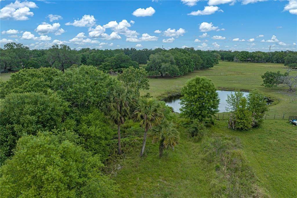 20. Land for Sale at BRANDING IRON TRAIL Plant City, Florida 33565 United States