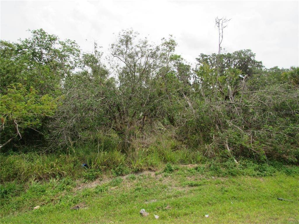 6. Land for Sale at 11208 US 41 Palmetto, Florida 34221 United States