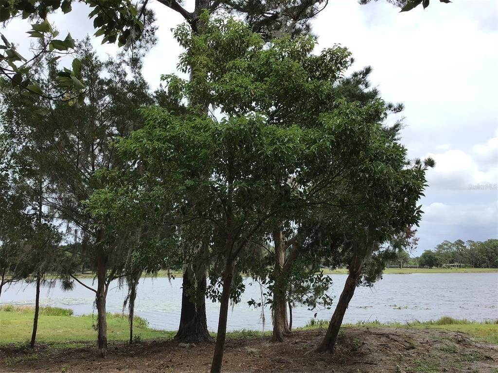 Land for Sale at MAYFIELD ROAD Seville, Florida 32190 United States
