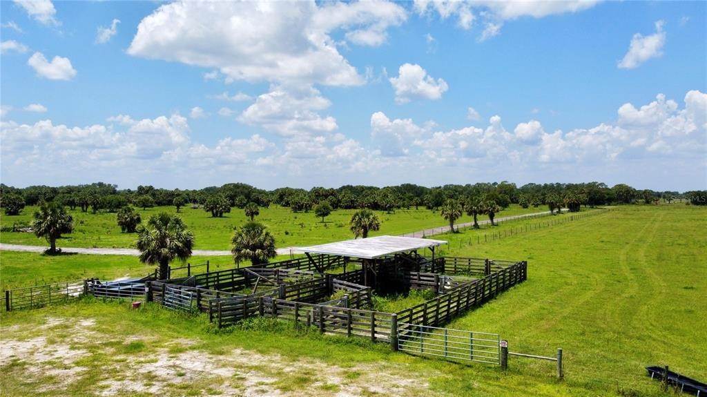 20. Land for Sale at 196TH TERRACE Okeechobee, Florida 34974 United States