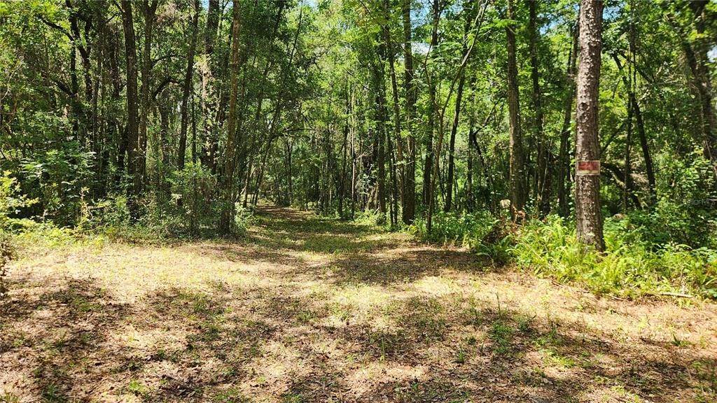5. Land for Sale at 1703 SW 35TH AVENUE Gainesville, Florida 32608 United States