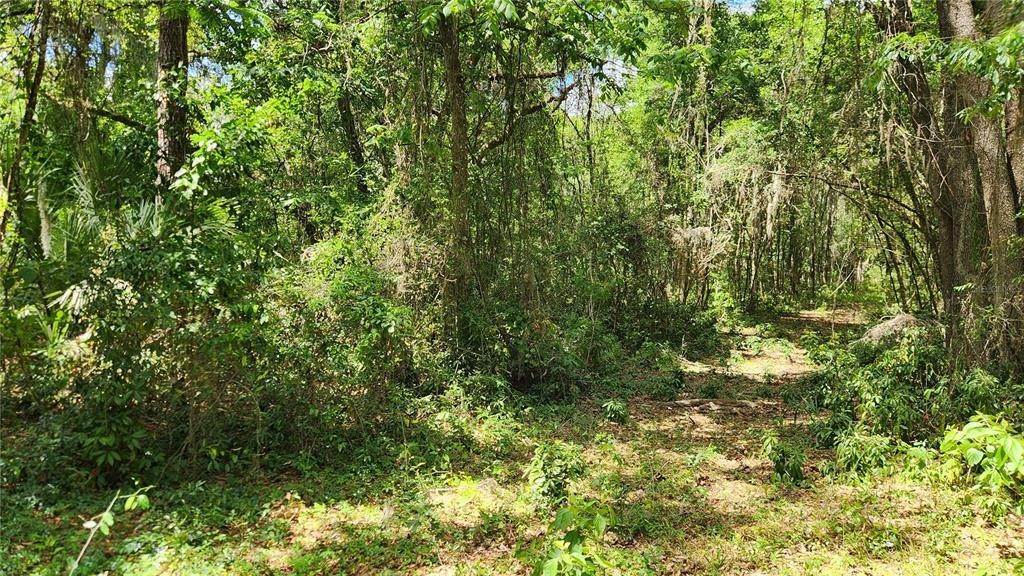 8. Land for Sale at 1703 SW 35TH AVENUE Gainesville, Florida 32608 United States
