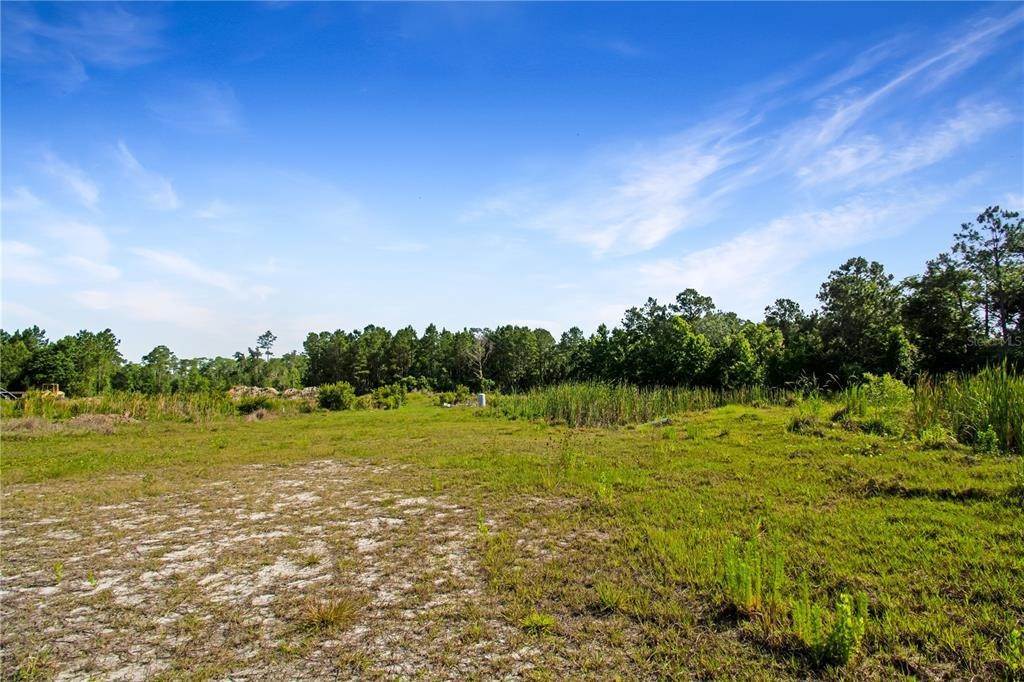 17. Single Family Homes for Sale at 3800 S COUNTY ROAD 13 Elkton, Florida 32033 United States