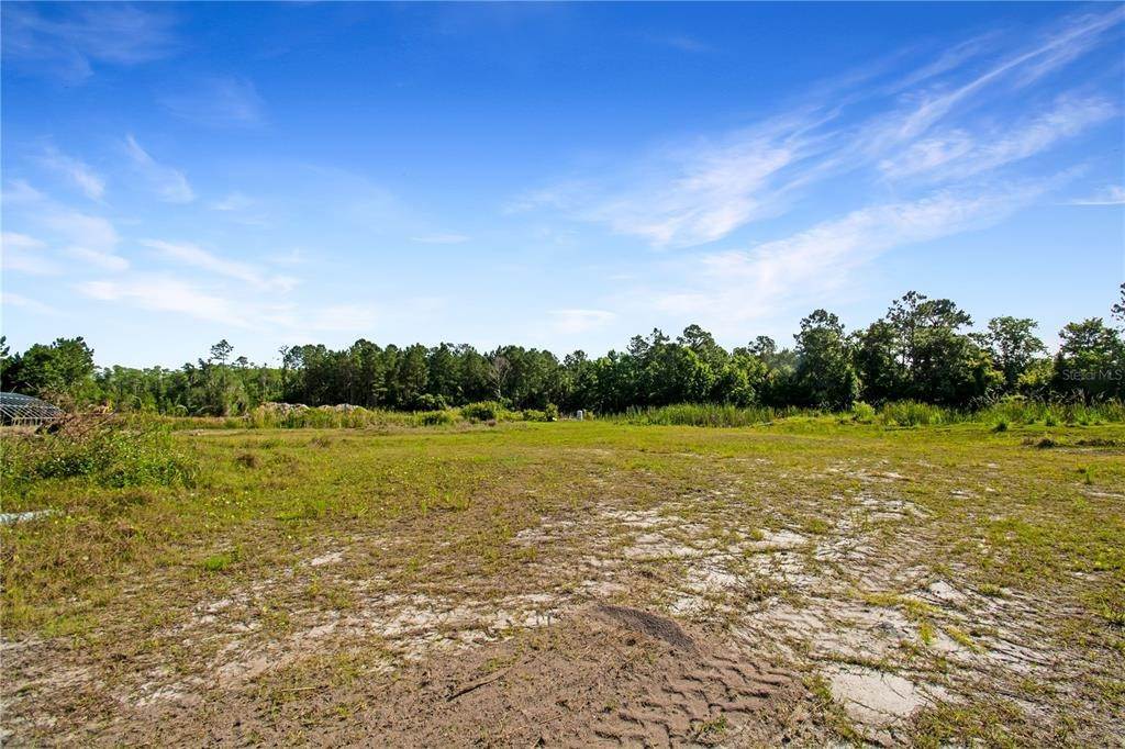 11. Single Family Homes for Sale at 3800 S COUNTY ROAD 13 Elkton, Florida 32033 United States