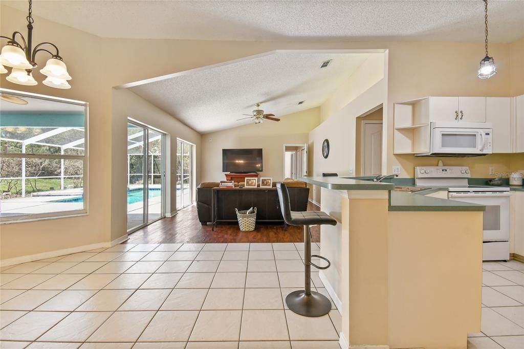 18. Single Family Homes for Sale at 3919 FAN PALM COURT Land O' Lakes, Florida 34638 United States
