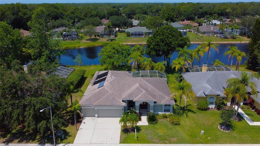 2. Single Family Homes for Sale at 2456 APPALOOSA TRAIL Palm Harbor, Florida 34685 United States