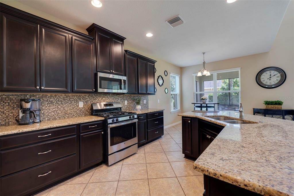 18. Single Family Homes for Sale at 1690 VIRGINIA WILLOW DRIVE Wesley Chapel, Florida 33544 United States