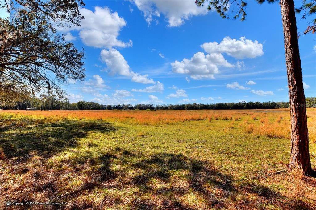 18. Land for Sale at 8609 BACK ROAD Plant City, Florida 33565 United States