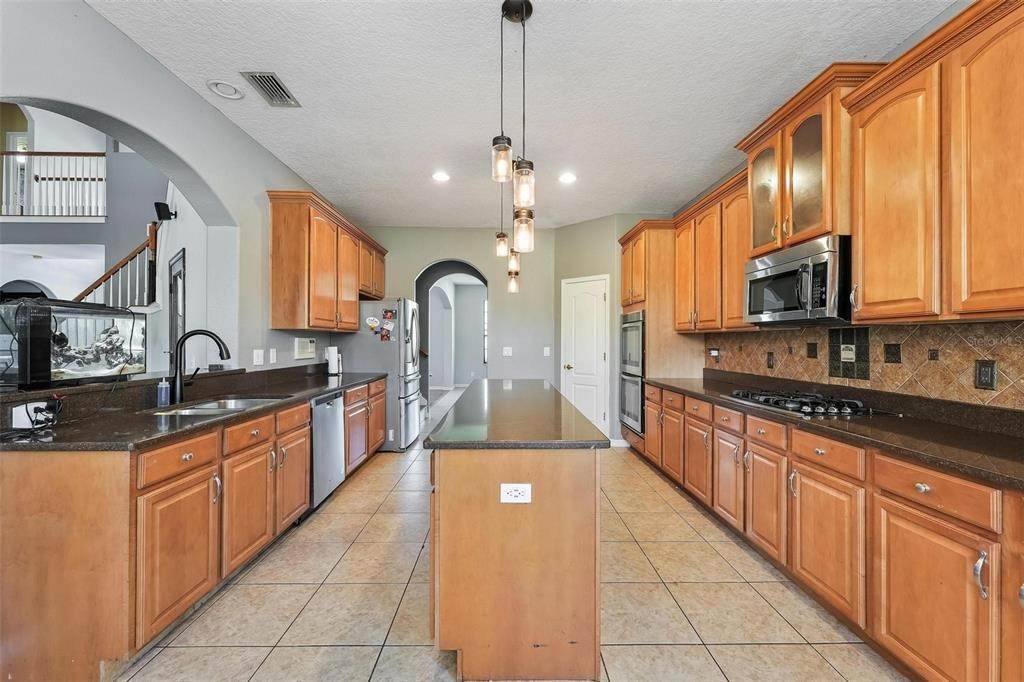 14. Single Family Homes for Sale at 15225 PRINCEWOOD LANE Land O' Lakes, Florida 34638 United States