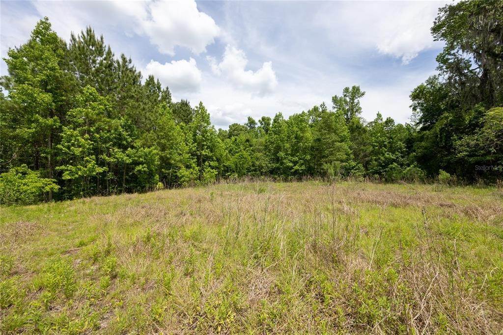 17. Land for Sale at 5810 NW 23RD AVENUE Gainesville, Florida 32606 United States