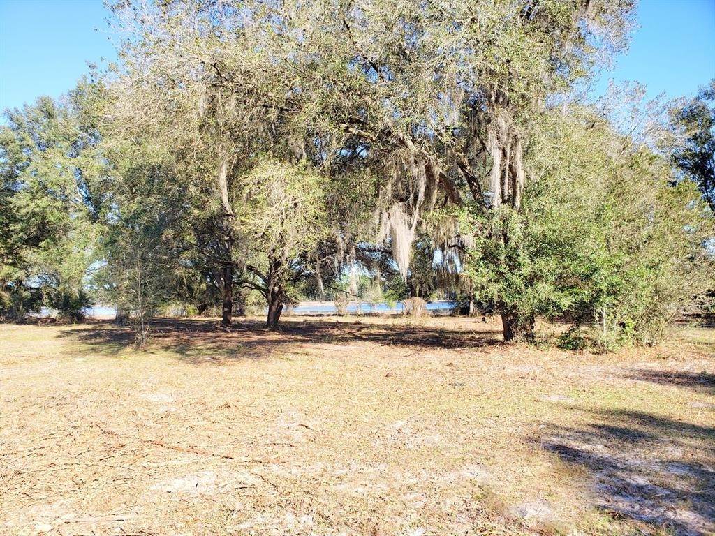 20. Land for Sale at 203ac NE HWY 315 Fort Mc Coy, Florida 32134 United States