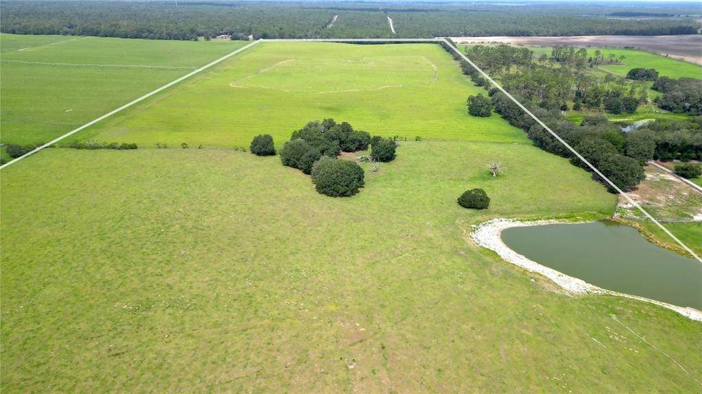 Land for Sale at TBD NW 220TH AVENUE Dunnellon, Florida 34431 United States