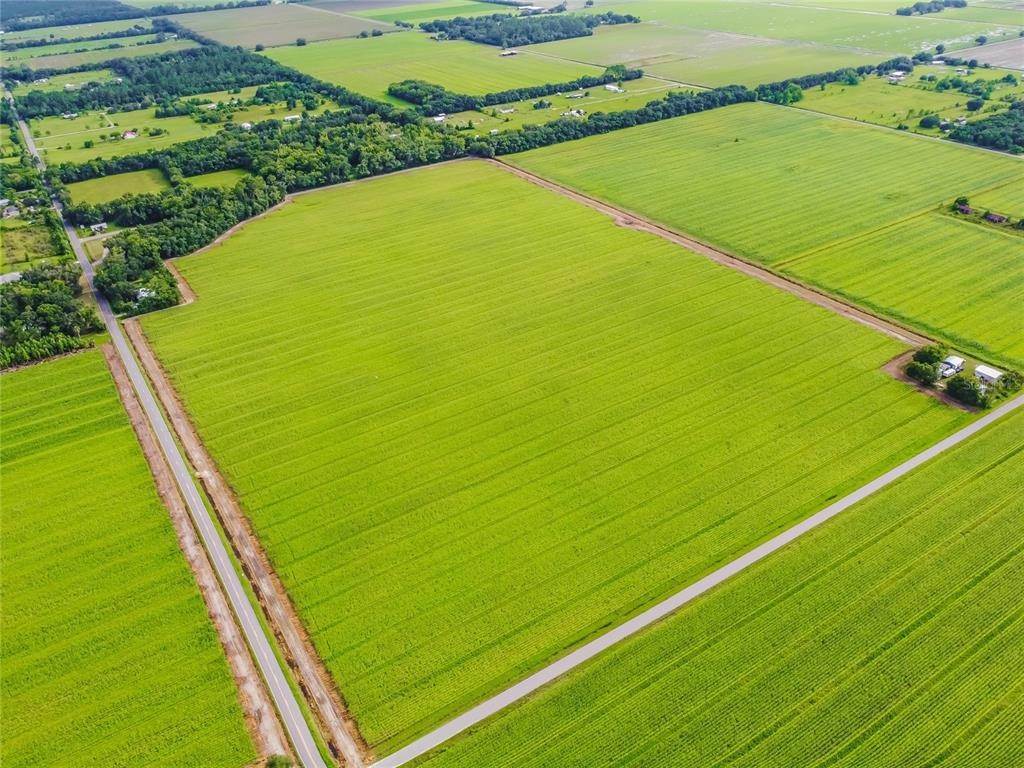 Land for Sale at 8600 REID PACKING HOUSE ROAD Hastings, Florida 32145 United States