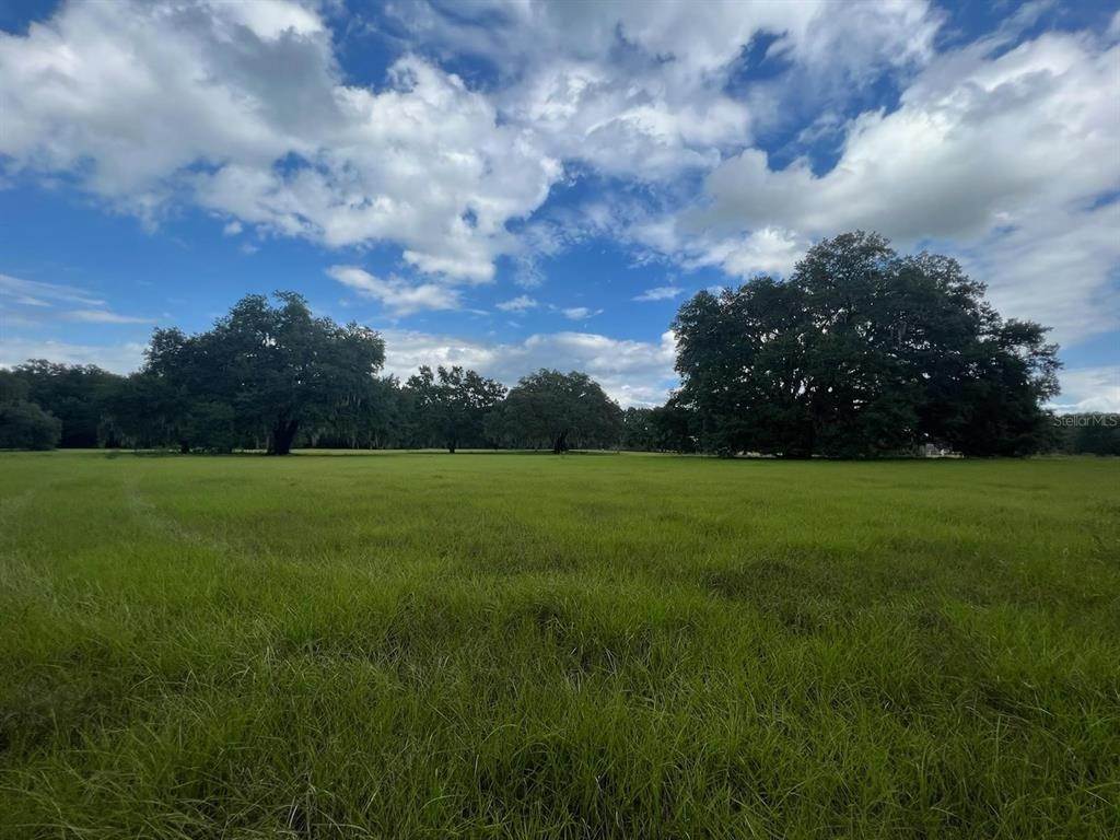 Land for Sale at 4160 NE 127TH PLACE Anthony, Florida 32617 United States