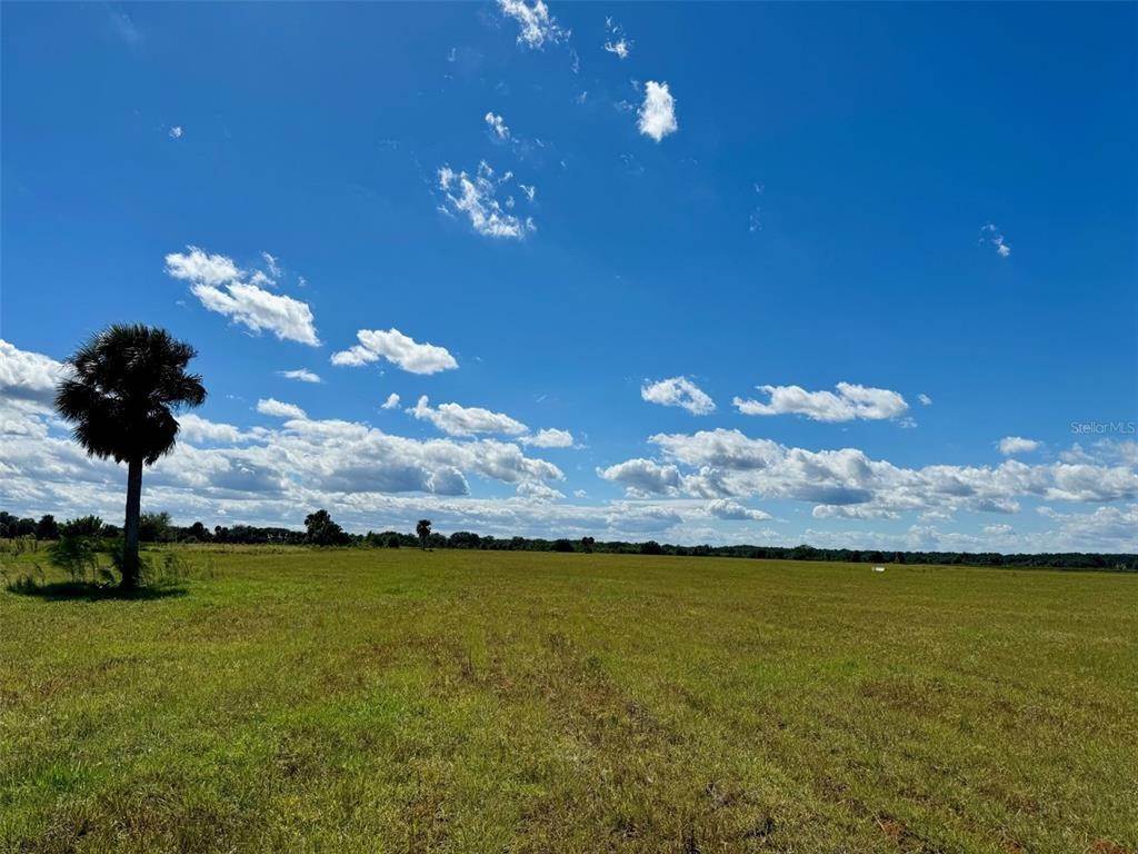 Land for Sale at NW 285th WAY Okeechobee, Florida 34972 United States