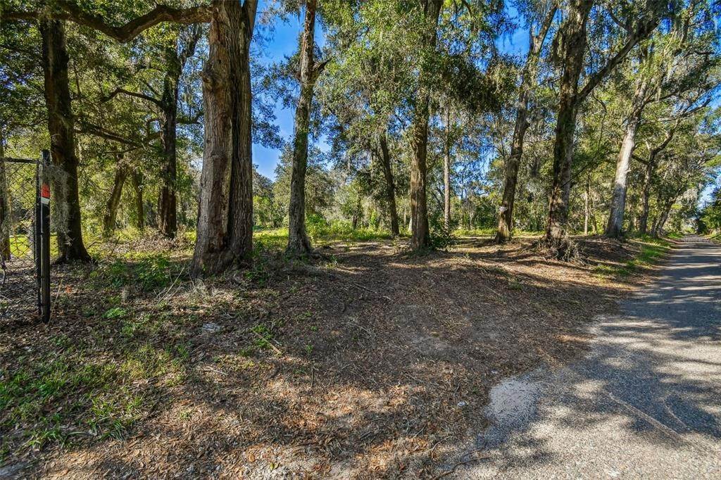 2. Land for Sale at 2805 RANCH ROAD Dover, Florida 33527 United States