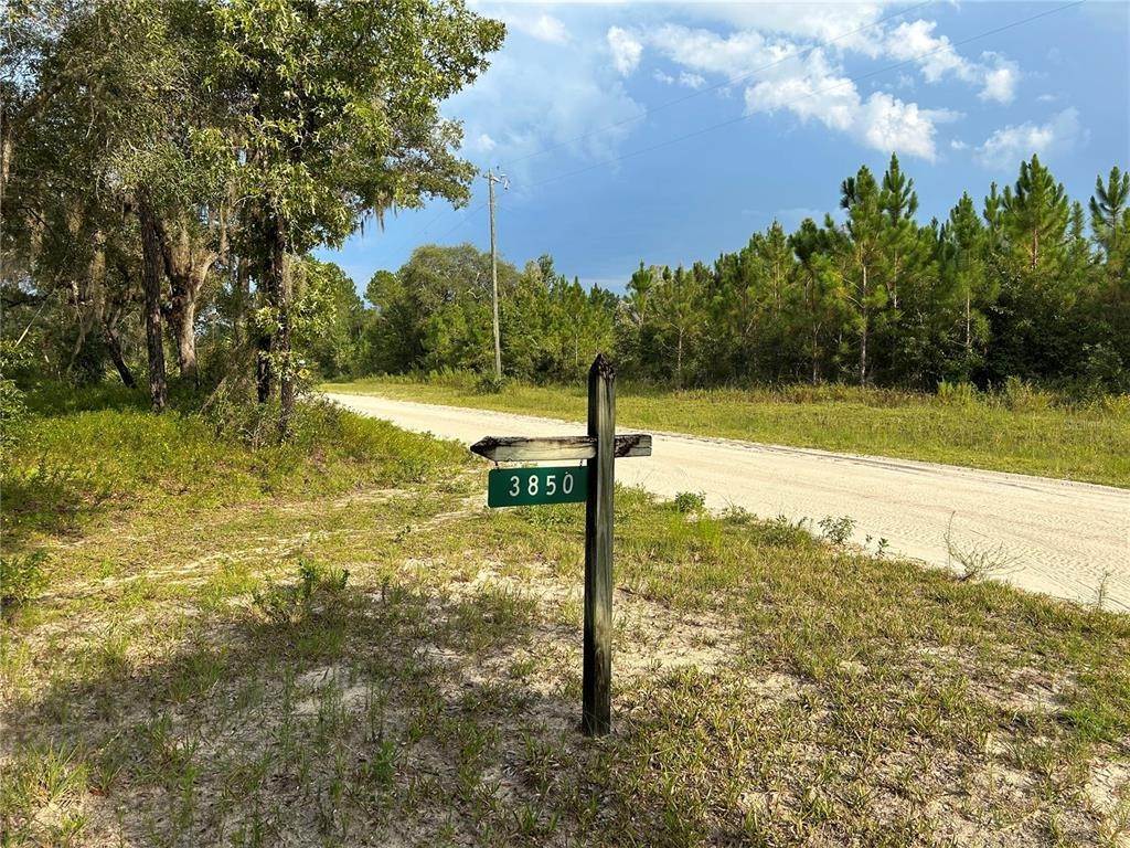 Single Family Homes for Sale at 3850 Preston Sheffield ROAD Shady Grove, Florida 32357 United States