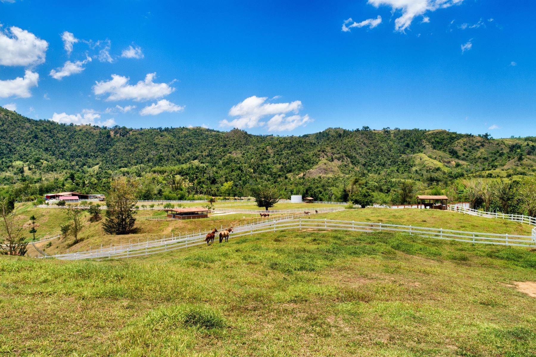 43. Farm and Ranch Properties for Sale at Contemporary Equestrian Retreat Carr. 567 Km 13.0 Morovis, 00687 Puerto Rico
